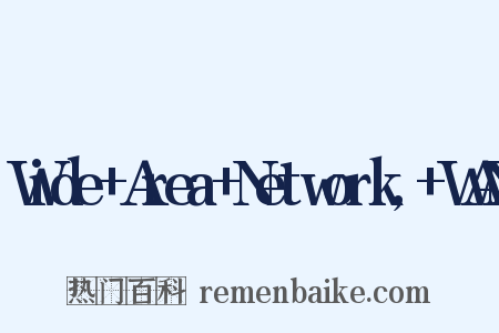 Wide+Area+Network,+WAN是什么意思的图片